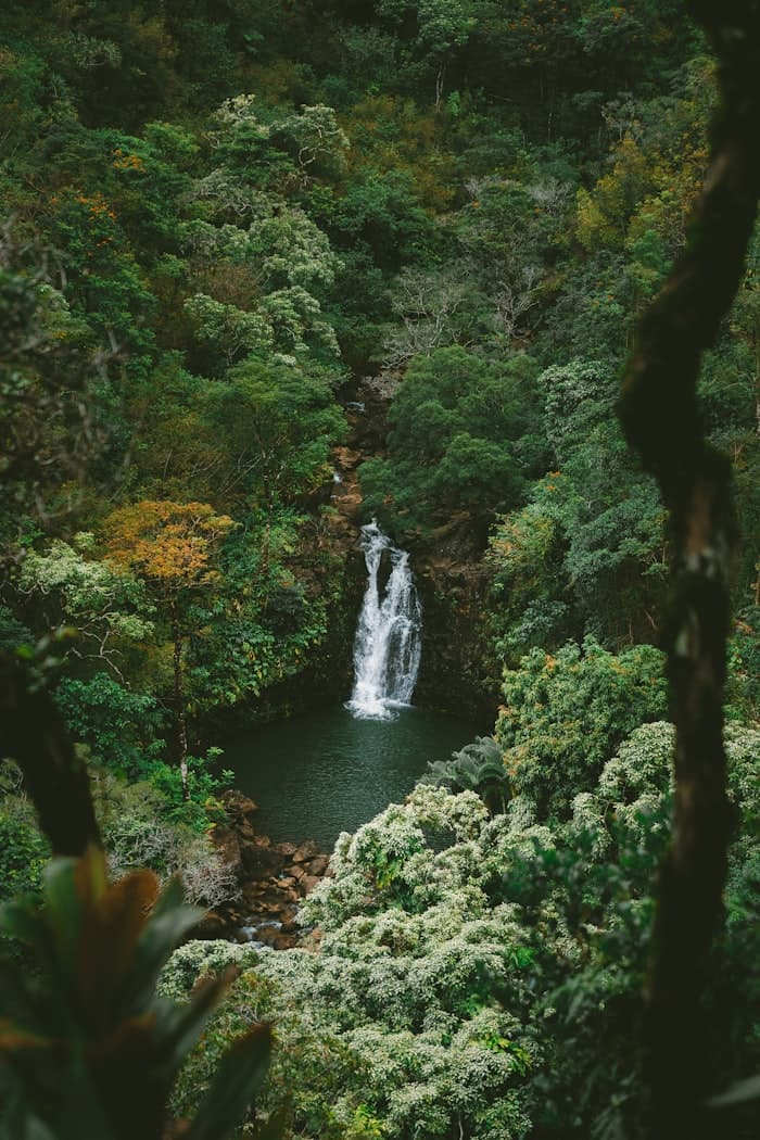 Doi Inthanon National Park